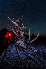 Approaching The Scene - Milky Way and Stars Course