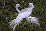 Charleston Workshop, March 16-20, 2026 (Deposit)