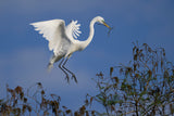 Charleston Workshop, March 16-20, 2026 (Deposit)