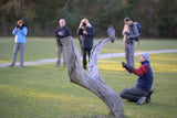 Charleston Workshop, March 16-20, 2026 (Deposit)