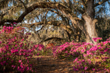 Charleston Workshop, March 16-20, 2026 (Deposit)