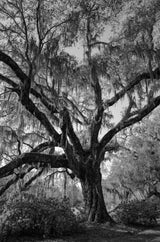 Charleston Workshop, March 16-20, 2026 (Deposit)
