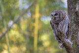 Charleston Workshop, March 16-20, 2026 (Deposit)