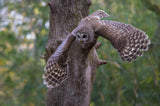 Charleston Workshop, March 16-20, 2026 (Deposit)