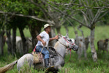 Costa Rica Workshop, April 26 - May 3, 2025 (Deposit)