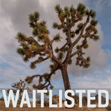 Joshua Tree National Park Workshop, March 8-12, 2027 (Deposit)