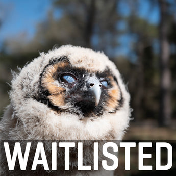 Charleston Workshop, March 16-20, 2026 (Deposit)