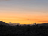 Joshua Tree National Park Workshop, March 8-12, 2027 (Deposit)