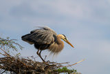 Charleston Workshop, March 16-20, 2026 (Deposit)