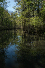 Charleston Workshop, March 16-20, 2026 (Deposit)
