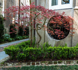 Charleston Workshop, March 16-20, 2026 (Deposit)