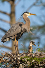 Charleston Workshop, March 16-20, 2026 (Deposit)