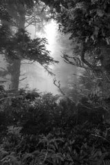 Oregon Coast (Newport) Workshop, September 8-11, 2026 (Deposit)