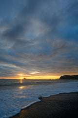 Olympic National Park Workshop, July 27-31, 2026 (Deposit)