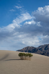 Death Valley National Park Workshop, February 24-28, 2025 (Deposit)