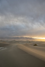 Death Valley National Park Workshop, February 24-28, 2025 (Deposit)