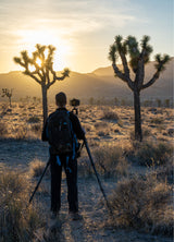 Joshua Tree National Park Workshop, March 4-7, 2025 (Deposit)