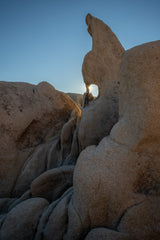 Joshua Tree National Park Workshop, March 4-7, 2025 (Deposit)