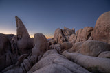 Joshua Tree National Park Workshop, March 4-7, 2025 (Deposit)