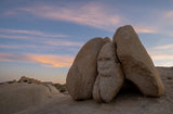 Joshua Tree National Park Workshop, March 4-7, 2025 (Deposit)