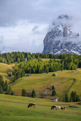 Dolomites Workshop, October 4–14, 2026 (Deposit)