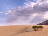 Death Valley National Park Workshop, February 24-28, 2025 (Deposit)