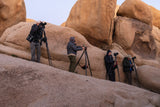 Joshua Tree National Park Workshop, March 4-7, 2025 (Deposit)