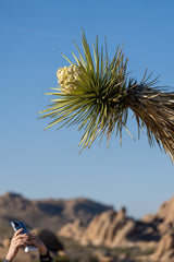 Joshua Tree National Park Workshop, March 4-7, 2025 (Deposit)