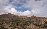 Joshua Tree National Park Workshop, March 4-7, 2025 (Deposit)