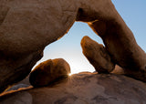 Joshua Tree National Park Workshop, March 4-7, 2025 (Deposit)