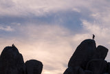 Joshua Tree National Park Workshop, March 4-7, 2025 (Deposit)