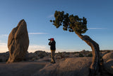 Joshua Tree National Park Workshop, March 4-7, 2025 (Deposit)